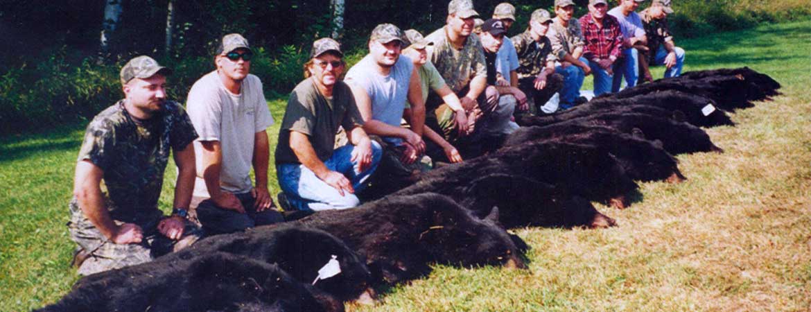 Our first-rate guides have extensive experience and expertise in both hunting bear and guiding hunts