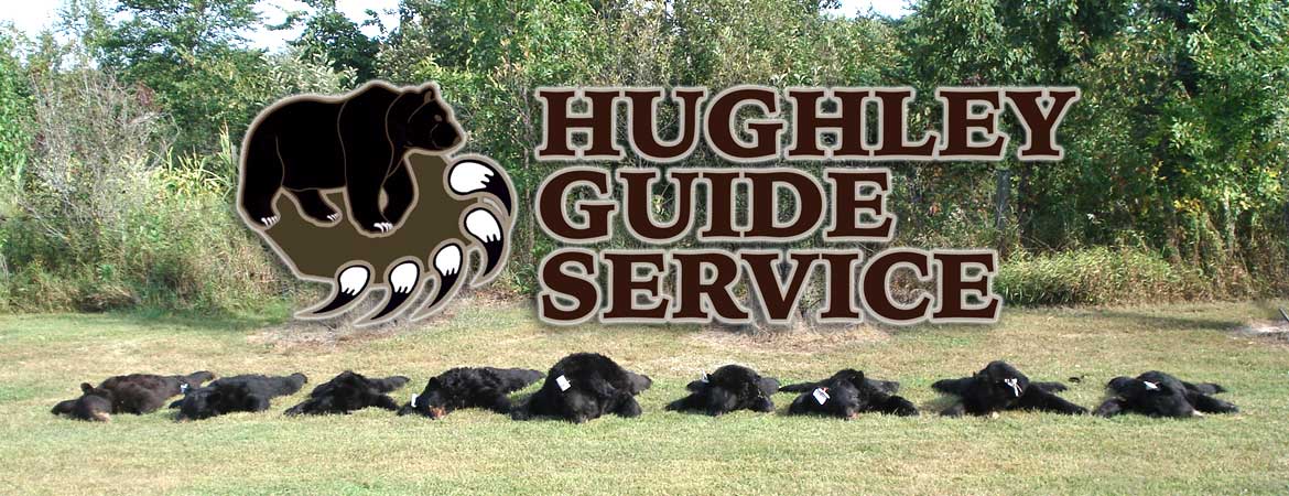 Our first-rate guides have extensive experience and expertise in both hunting bear and guiding hunts